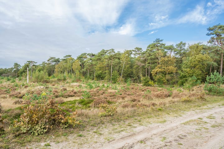 Foto 19 van Terwisscha 6