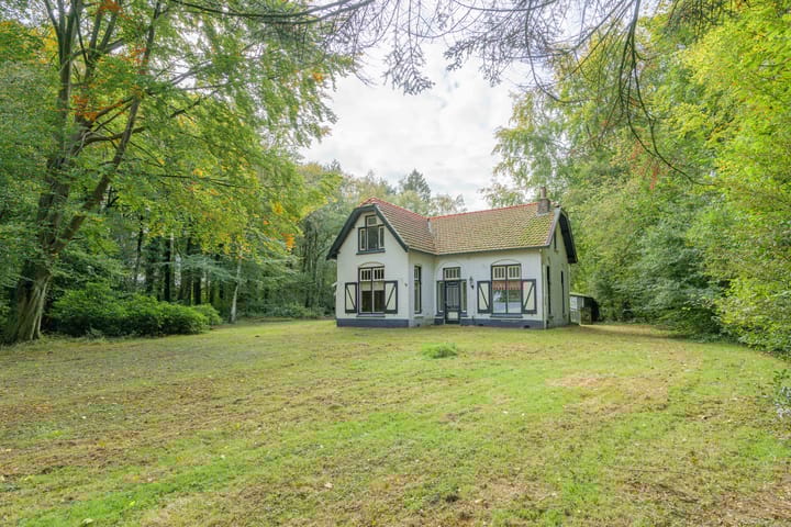 Foto 39 van Terwisscha 6