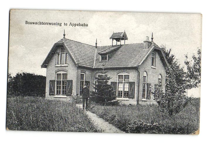 Foto 40 van Terwisscha 6