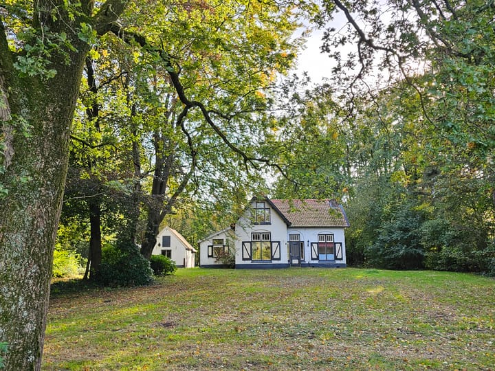 Foto 41 van Terwisscha 6