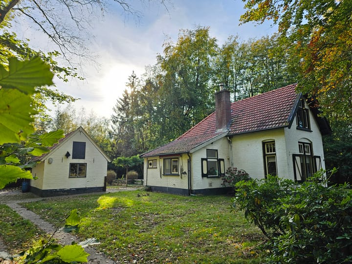 Foto 42 van Terwisscha 6