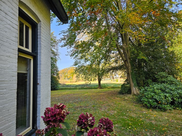 Foto 43 van Terwisscha 6