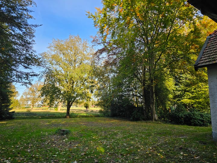 Foto 44 van Terwisscha 6