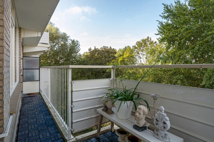 Foto 27 van Johan Willem Frisostraat 97