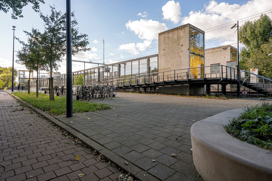 Photo 37 of Nieuwe Damlaan 399