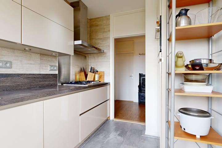 Foto 12 van Frans Cobellaan 26