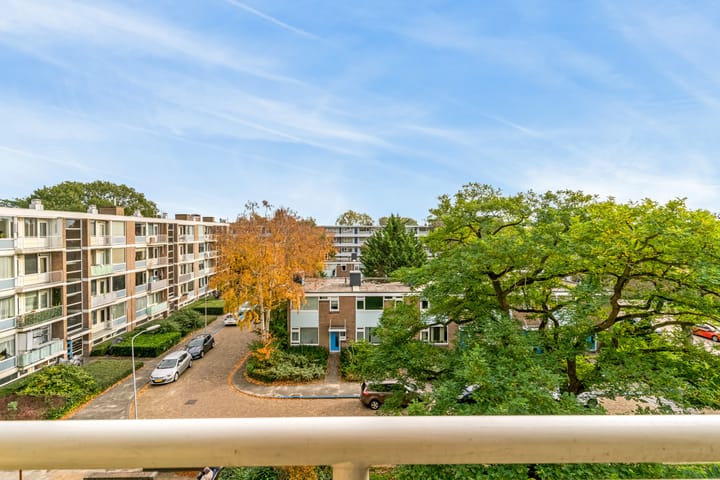 Foto 15 van Frans Cobellaan 26