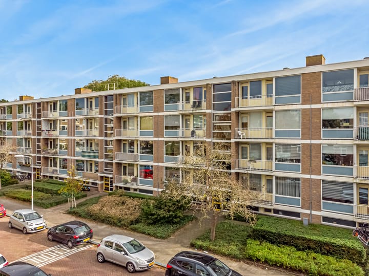 Foto 1 van Frans Cobellaan 26