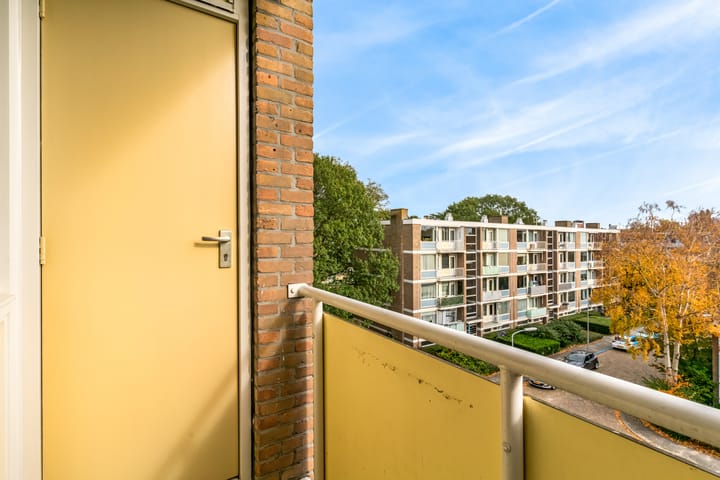 Foto 14 van Frans Cobellaan 26