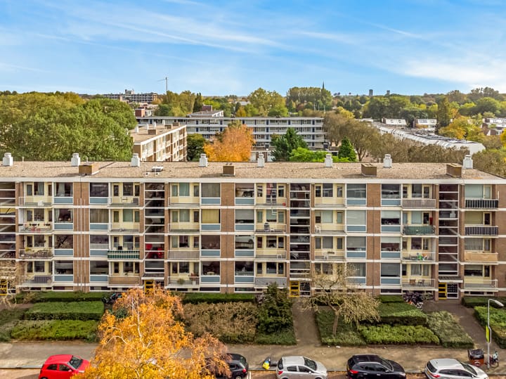 Foto 26 van Frans Cobellaan 26