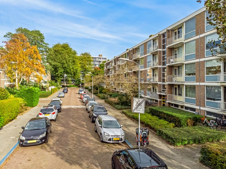 Foto 27 van Frans Cobellaan 26