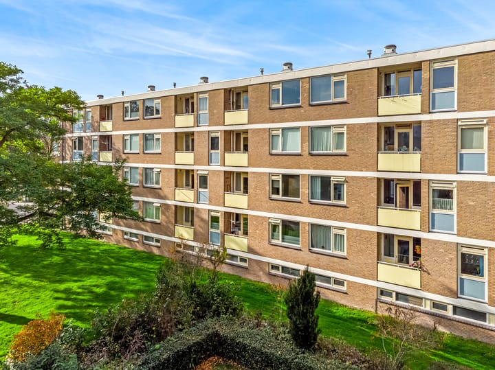 Foto 28 van Frans Cobellaan 26