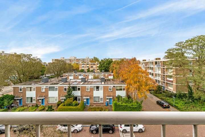 Foto 29 van Frans Cobellaan 26