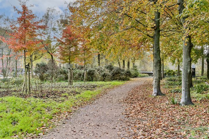 Bekijk foto 30 van Haarlemmerweg 245-D