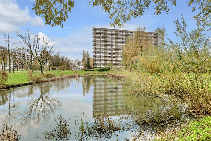 Bekijk foto 1 van Antwerpenstraat 100