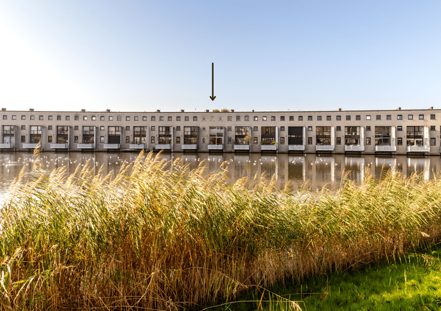 Foto 1 van Leusveld 52