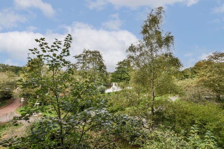 Foto 5 van Groenhoven 823