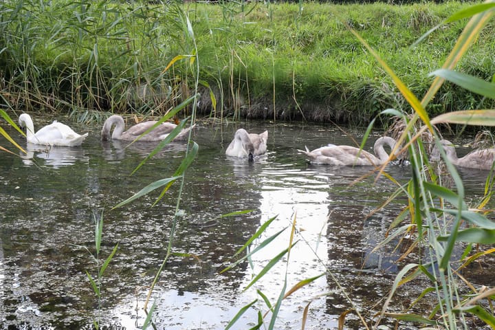 Foto 39 van Straat van Gibraltar 94