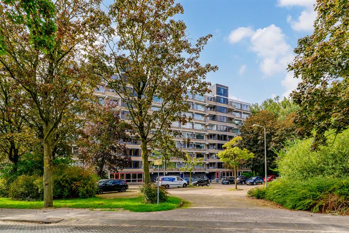 Bekijk foto 33 van Tobias Asserlaan 384