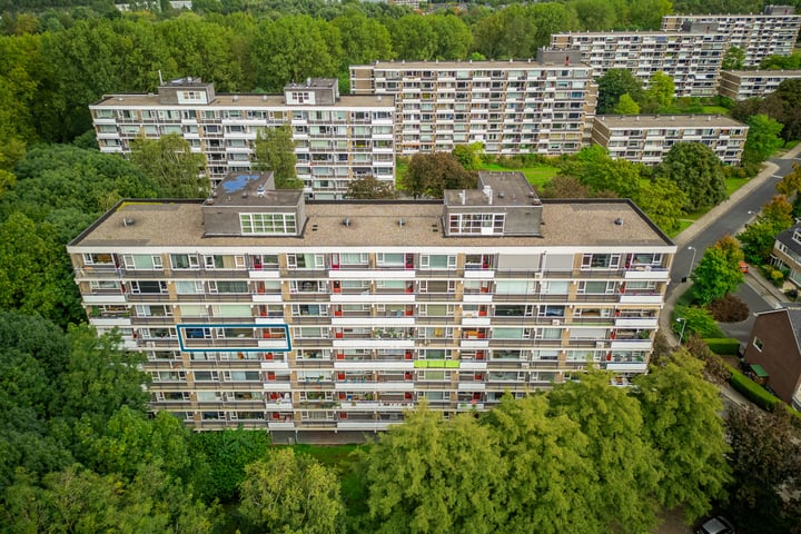 Bekijk foto 36 van Tobias Asserlaan 384