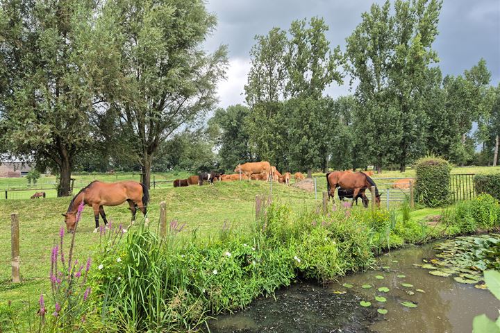 Bekijk foto 77 van Leropperweg 26