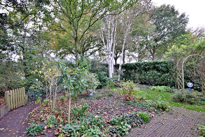 Photo 40 of Vogelzang 26