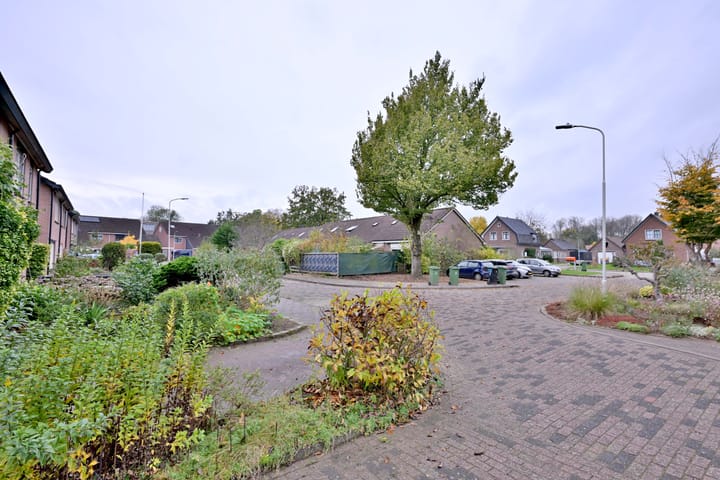 Photo 46 of Vogelzang 26