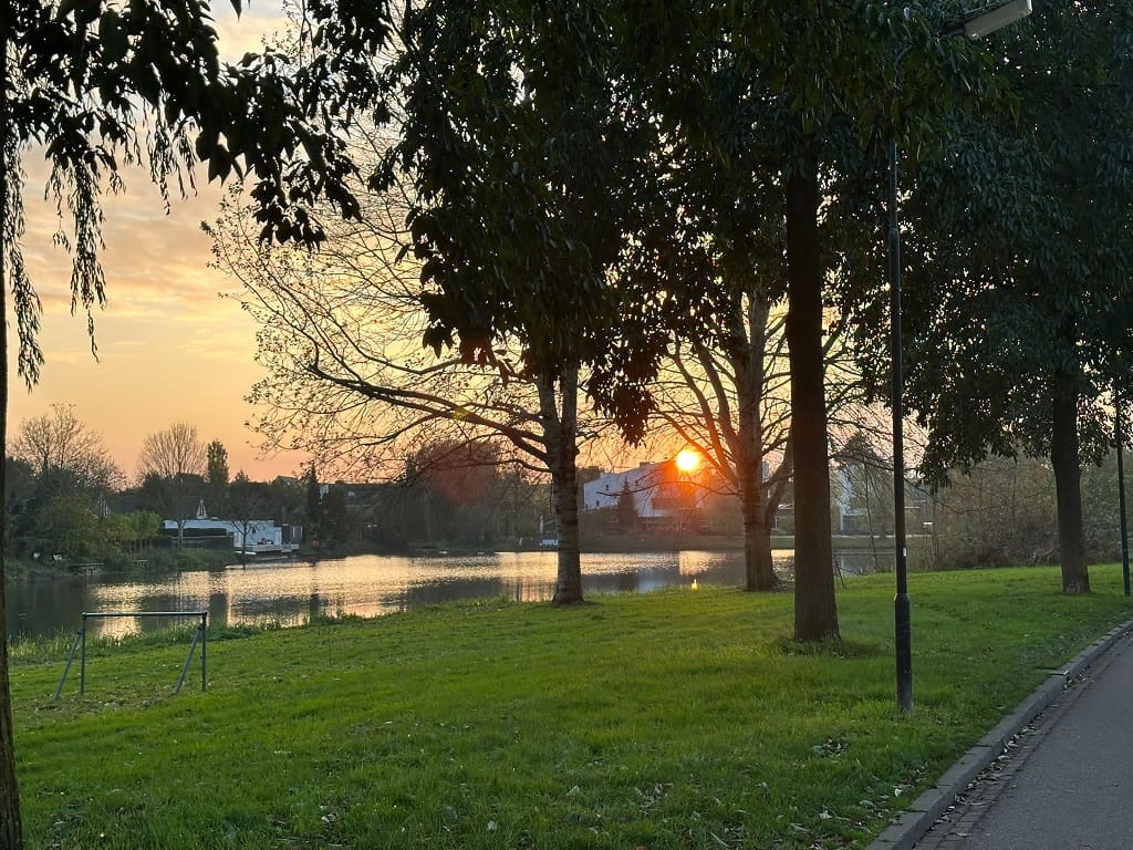 Foto 42 van Roggeakker 21