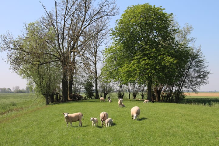 Foto 26 van Achtersloot 39