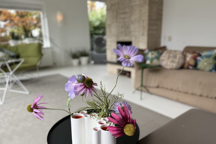 Foto 6 van Emmalaan 22