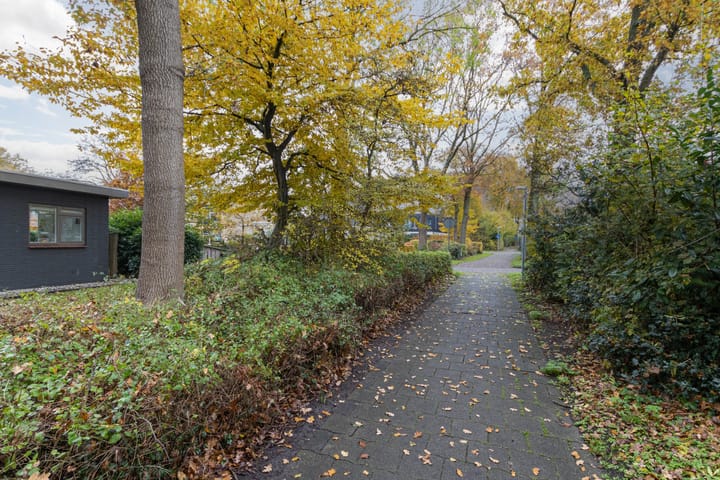 Foto 33 van Emmalaan 22