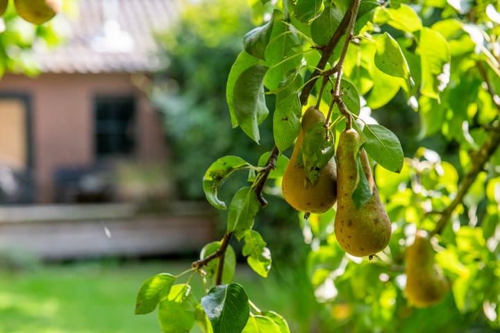 Foto 75 van Kerkstraat 37