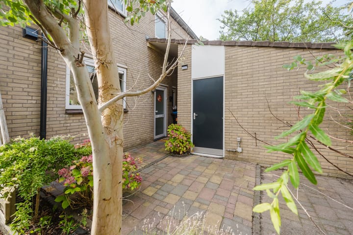 Foto 5 van Peddelkreek 1