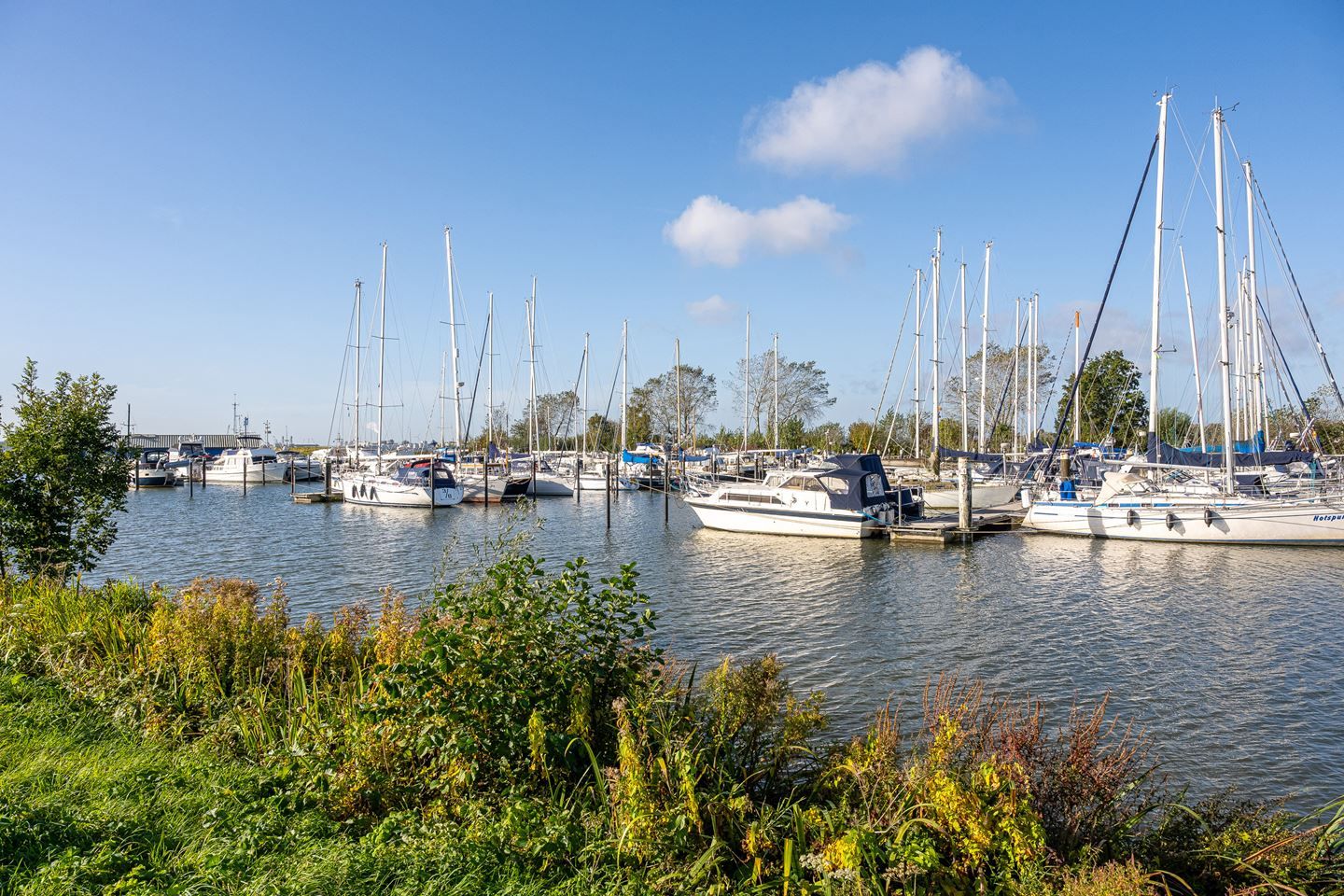 Photo 20 of Rijksstraatweg 186-412