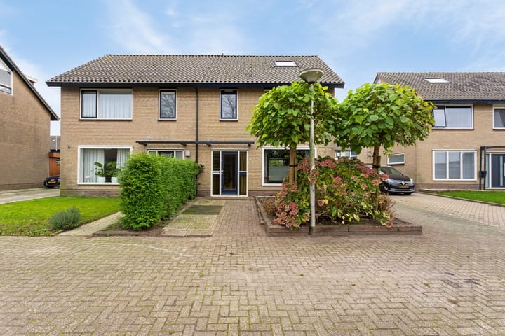 Foto 2 van Pinksterblom 11