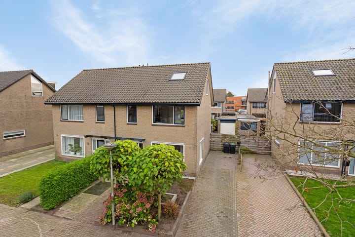 Foto 3 van Pinksterblom 11