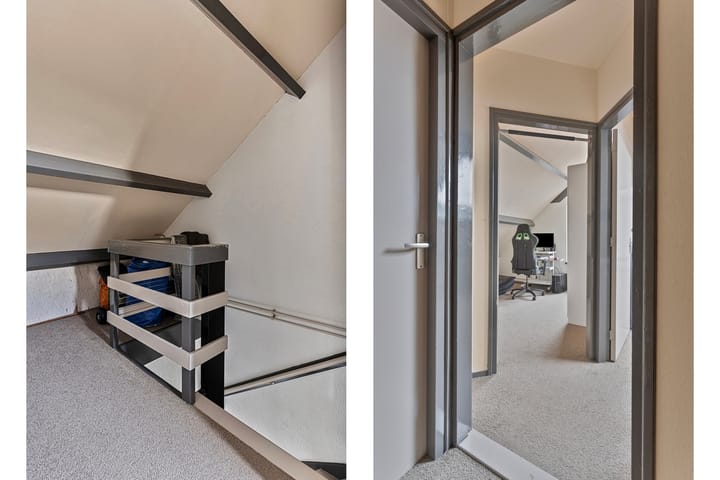 Foto 24 van Pinksterblom 11