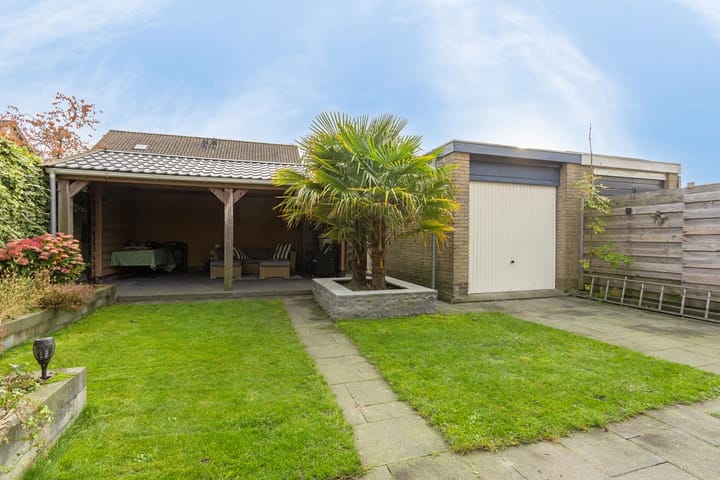 Foto 30 van Pinksterblom 11