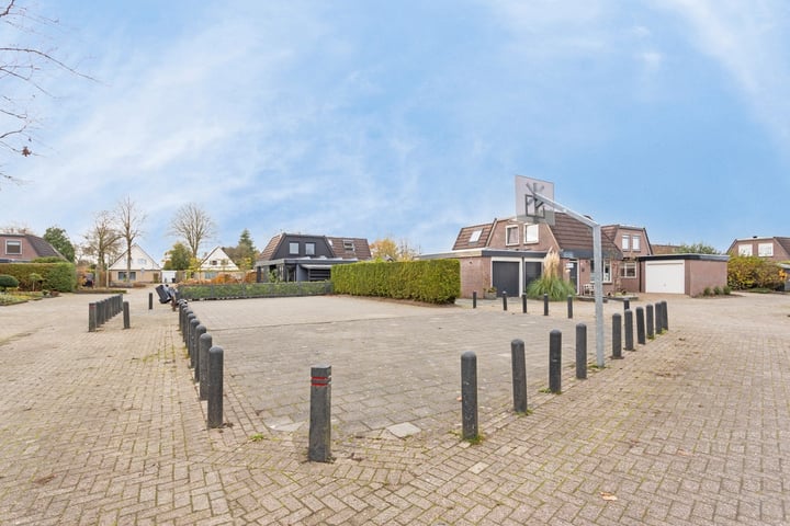 Bekijk foto 32 van Pinksterblom 11