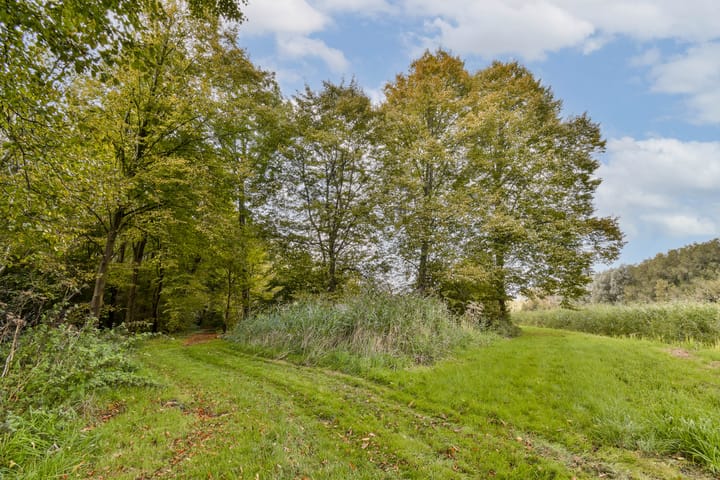 Foto 34 van Aurorastraat 19