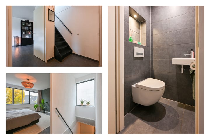 Foto 15 van Pegasus 17