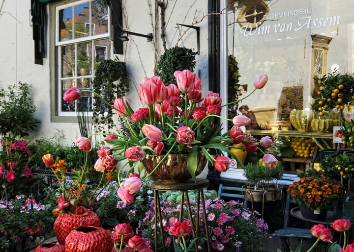 Foto 38 van Fnidsen 64