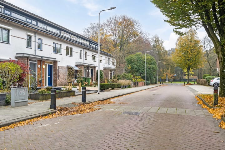 Foto 30 van Willem Marisstraat 9