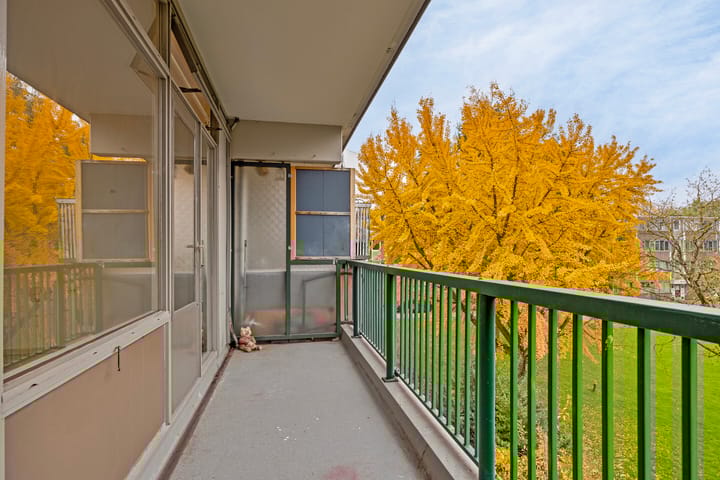 Foto 20 van Fokkezeil 53