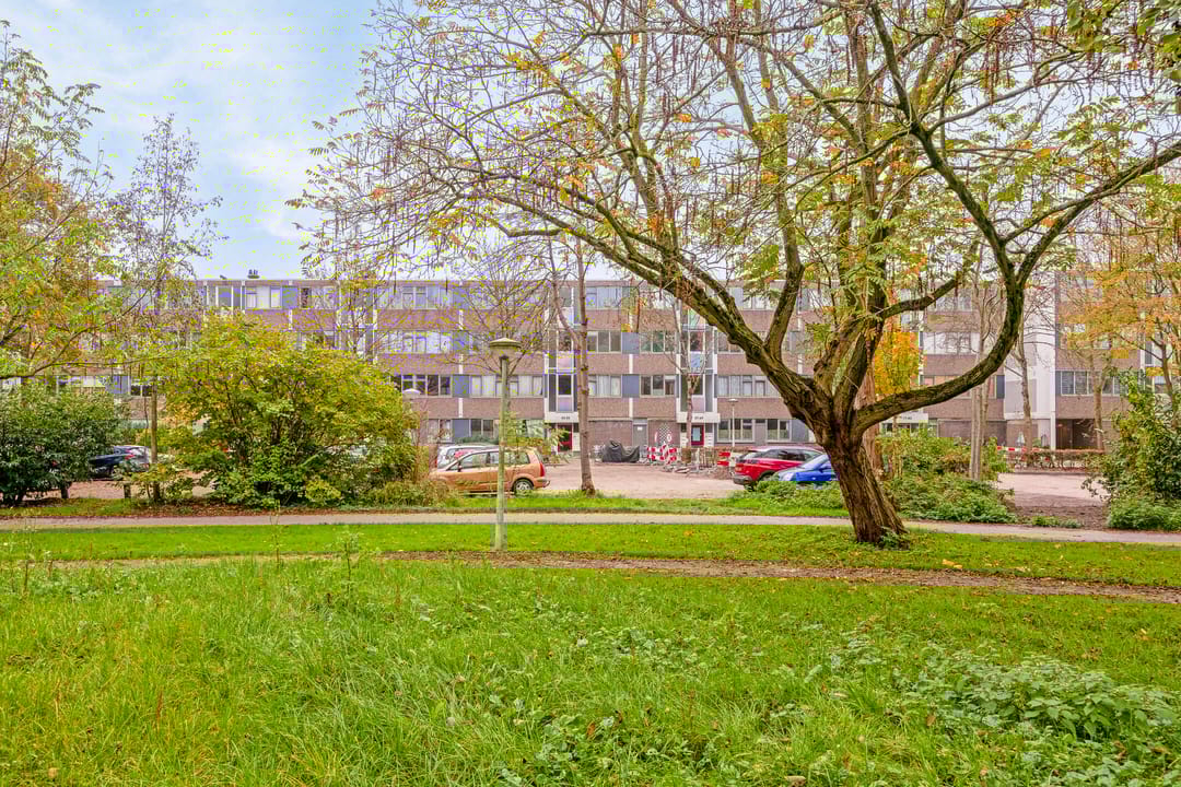 Foto 22 van Fokkezeil 53