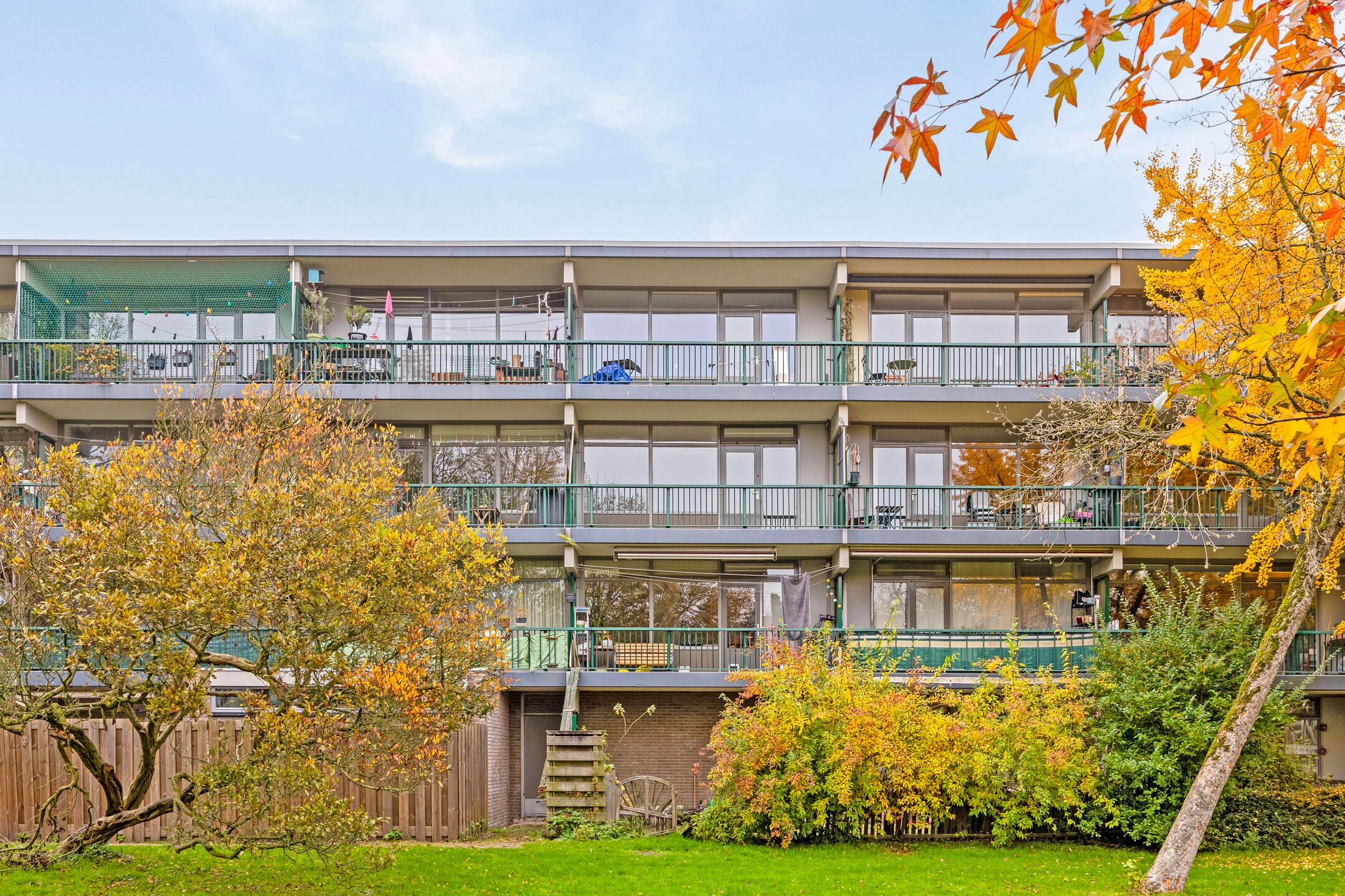 Foto 24 van Fokkezeil 53