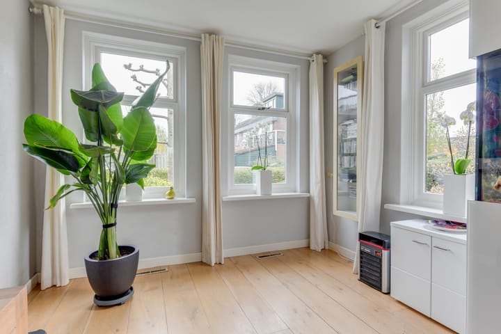 Photo 13 of Korenbloem 18