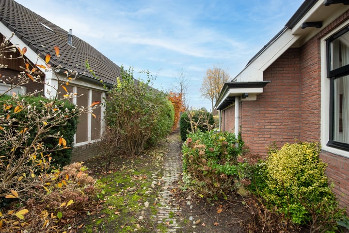 Bekijk foto 45 van Korenbloem 18