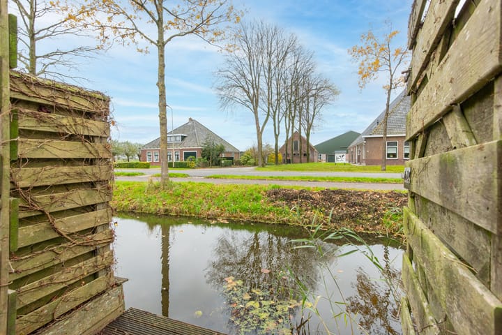 Photo 53 of Korenbloem 18