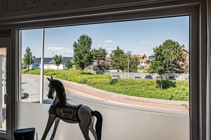 Foto 26 van Linnaeusstraat 30